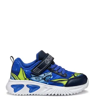 GEOX ASSISTER SHARK